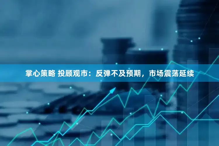 掌心策略 投顾观市：反弹不及预期，市场震荡延续
