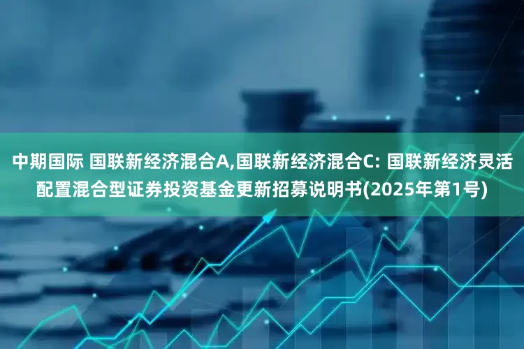 中期国际 国联新经济混合A,国联新经济混合C: 国联新经济灵活配置混合型证券投资基金更新招募说明书(2025年第1号)