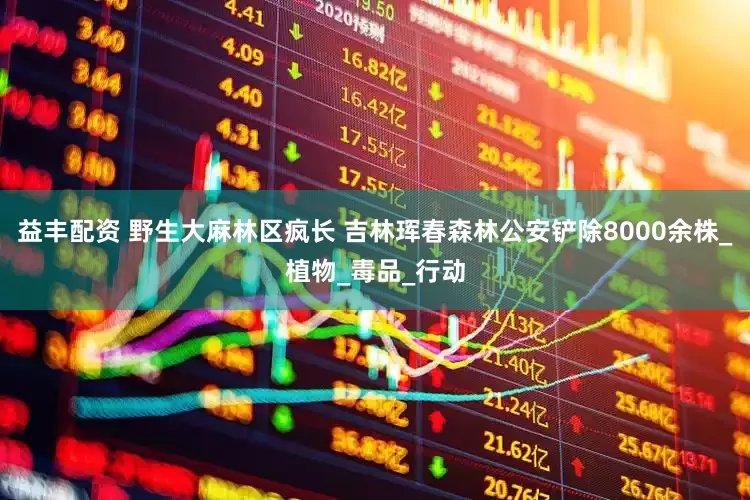 益丰配资 野生大麻林区疯长 吉林珲春森林公安铲除8000余株_植物_毒品_行动