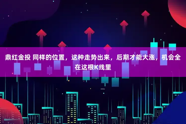 鼎红金投 同样的位置，这种走势出来，后期才能大涨，机会全在这根K线里