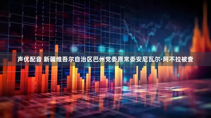 声优配音 新疆维吾尔自治区巴州党委原常委安尼瓦尔·阿不拉被查