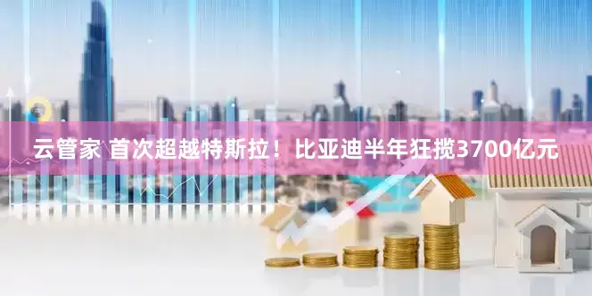云管家 首次超越特斯拉！比亚迪半年狂揽3700亿元