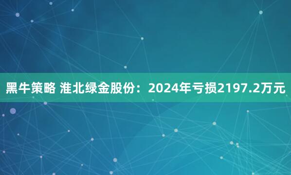 黑牛策略 淮北绿金股份：2024年亏损2197.2万元