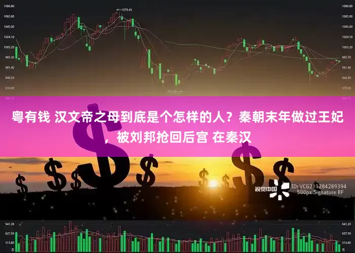 粤有钱 汉文帝之母到底是个怎样的人？秦朝末年做过王妃，被刘邦抢回后宫 在秦汉